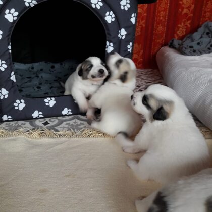 Umzug in das neue Spielzimmer