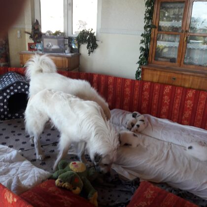 die Eltern schauen nach ... ;-)