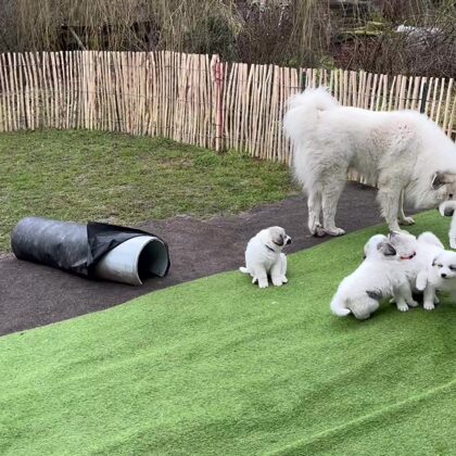 Papa m. seinen Kindern