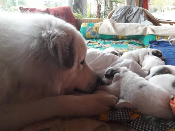 Papa und Sohn