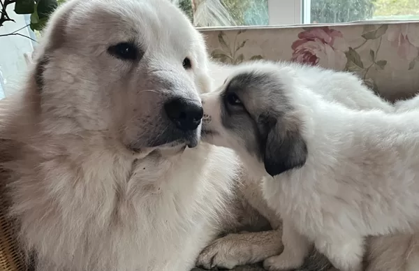 mit Papa