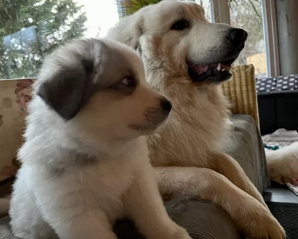 Papa und Sohn